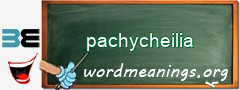 WordMeaning blackboard for pachycheilia